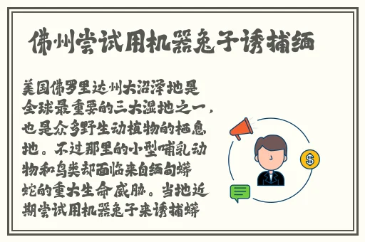 嗨羞漫画官网